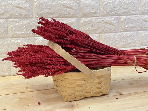 La Casa del Artesano-Ramo seco de espigas de trigo color rojo