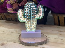 Lámpara cactus 3D