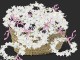 25 diademas luminosas flores LED