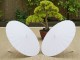 Sombrilla blanca elegante de madera y papel de 58 cm para bodas y eventos al aire libre